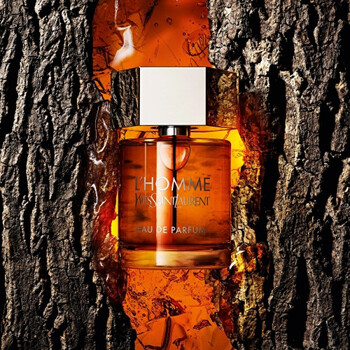 L´Homme Eau de Parfum EDP
